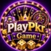 PlayPkr Game